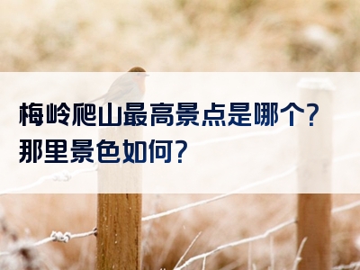 梅岭爬山最高景点是哪个？那里景色如何？