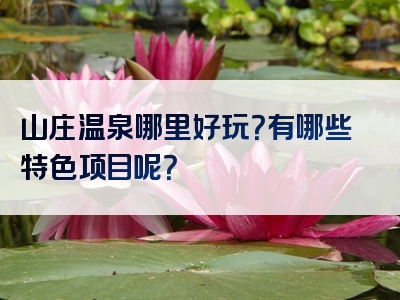 山庄温泉哪里好玩？有哪些特色项目呢？