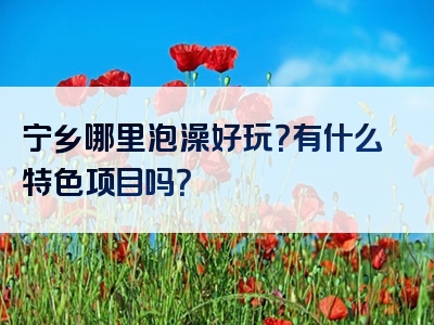 宁乡哪里泡澡好玩？有什么特色项目吗？