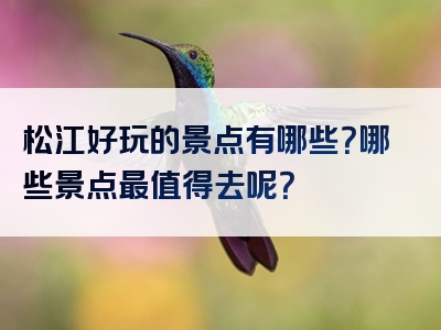 松江好玩的景点有哪些？哪些景点最值得去呢？