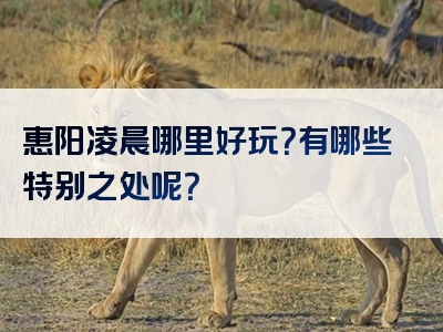 惠阳凌晨哪里好玩？有哪些特别之处呢？