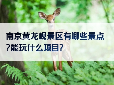 南京黄龙岘景区有哪些景点？能玩什么项目？