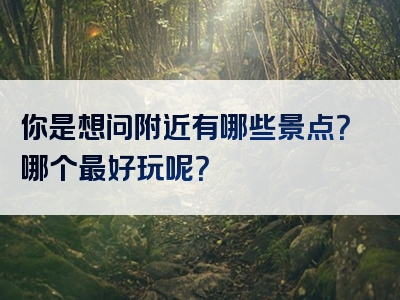 你是想问附近有哪些景点？哪个最好玩呢？