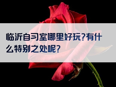 临沂自习室哪里好玩？有什么特别之处呢？