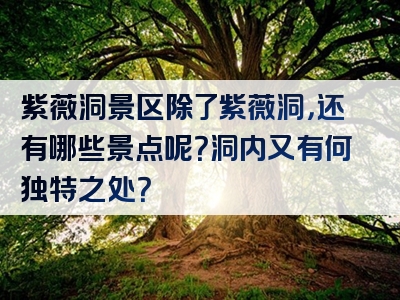 紫薇洞景区除了紫薇洞，还有哪些景点呢？洞内又有何独特之处？