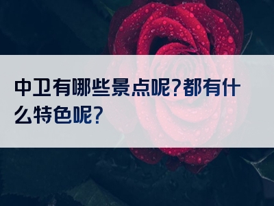 中卫有哪些景点呢？都有什么特色呢？
