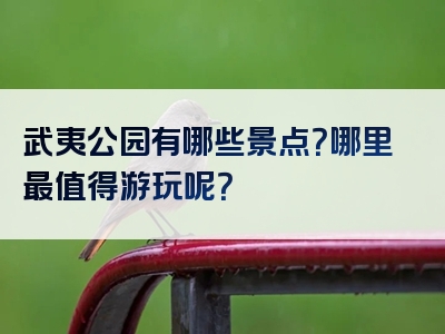 武夷公园有哪些景点？哪里最值得游玩呢？