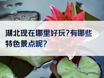 湖北现在哪里好玩？有哪些特色景点呢？