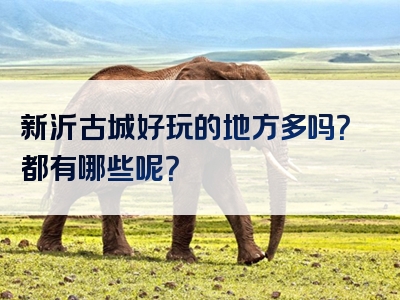 新沂古城好玩的地方多吗？都有哪些呢？