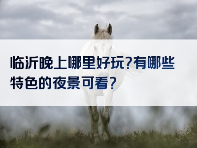 临沂晚上哪里好玩？有哪些特色的夜景可看？