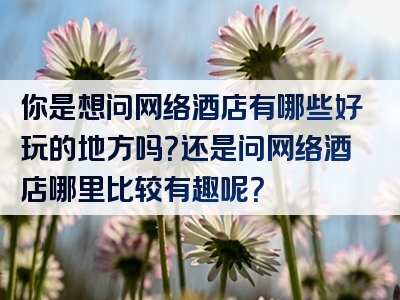 你是想问网络酒店有哪些好玩的地方吗？还是问网络酒店哪里比较有趣呢？