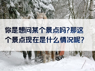 你是想问某个景点吗？那这个景点现在是什么情况呢？