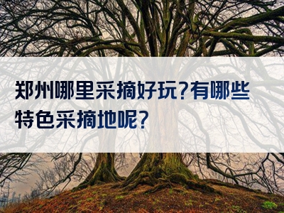 郑州哪里采摘好玩？有哪些特色采摘地呢？