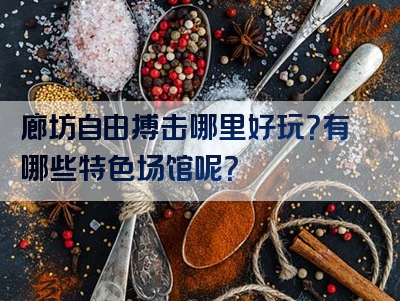 廊坊自由搏击哪里好玩？有哪些特色场馆呢？