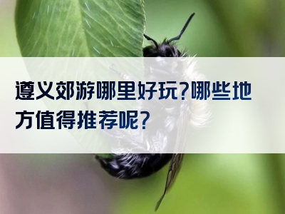 遵义郊游哪里好玩？哪些地方值得推荐呢？