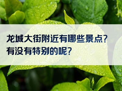 龙城大街附近有哪些景点？有没有特别的呢？