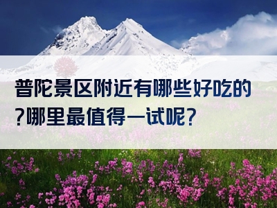 普陀景区附近有哪些好吃的？哪里最值得一试呢？