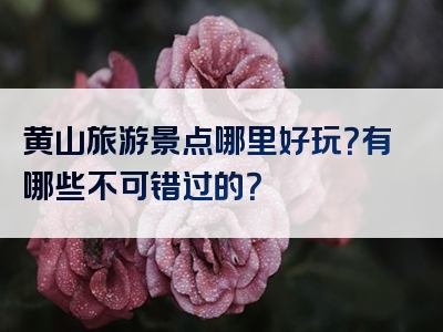 黄山旅游景点哪里好玩？有哪些不可错过的？