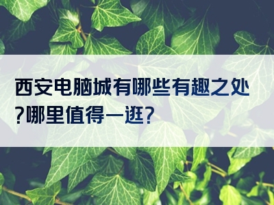 西安电脑城有哪些有趣之处？哪里值得一逛？