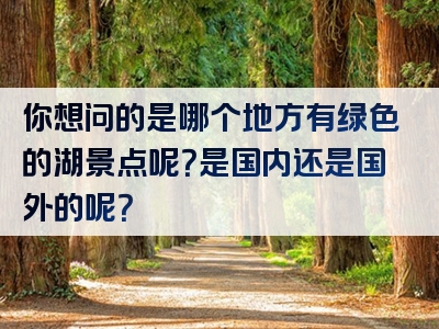 你想问的是哪个地方有绿色的湖景点呢？是国内还是国外的呢？
