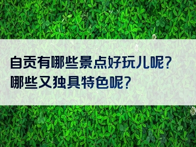 自贡有哪些景点好玩儿呢？哪些又独具特色呢？