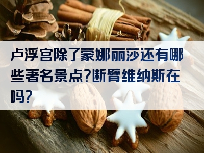 卢浮宫除了蒙娜丽莎还有哪些著名景点？断臂维纳斯在吗？
