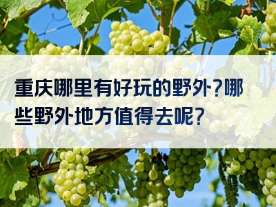 重庆哪里有好玩的野外？哪些野外地方值得去呢？