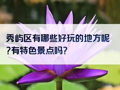 秀屿区有哪些好玩的地方呢？有特色景点吗？