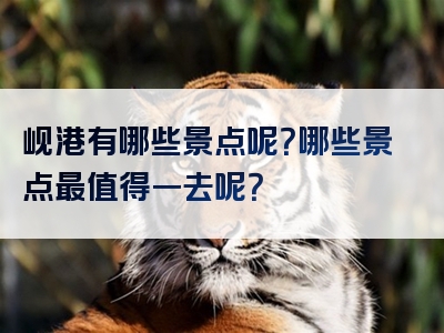 岘港有哪些景点呢？哪些景点最值得一去呢？