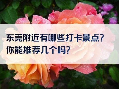 东莞附近有哪些打卡景点？你能推荐几个吗？
