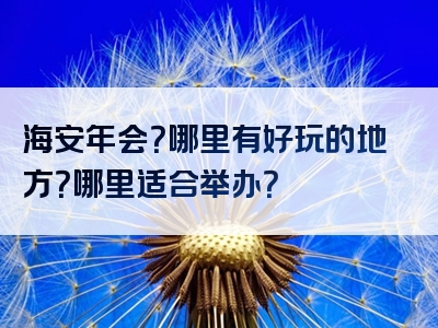 海安年会？哪里有好玩的地方？哪里适合举办？