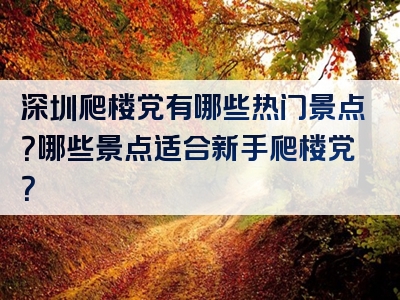 深圳爬楼党有哪些热门景点？哪些景点适合新手爬楼党？