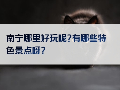 南宁哪里好玩呢？有哪些特色景点呀？
