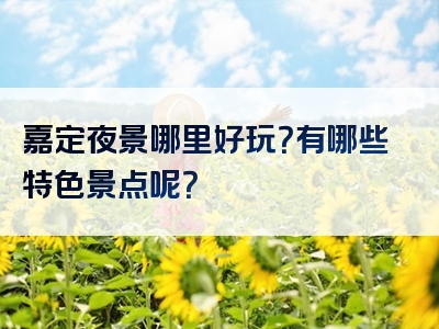 嘉定夜景哪里好玩？有哪些特色景点呢？