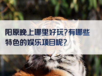 阳原晚上哪里好玩？有哪些特色的娱乐项目呢？