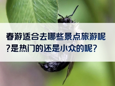 春游适合去哪些景点旅游呢？是热门的还是小众的呢？