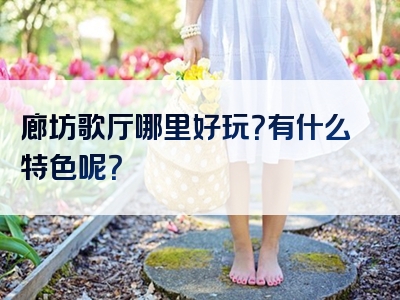 廊坊歌厅哪里好玩？有什么特色呢？