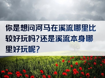 你是想问河马在溪流哪里比较好玩吗？还是溪流本身哪里好玩呢？