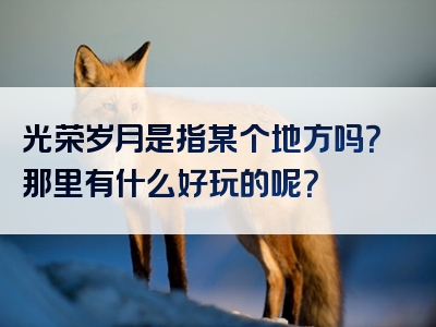光荣岁月是指某个地方吗？那里有什么好玩的呢？