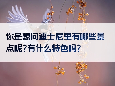 你是想问迪士尼里有哪些景点呢？有什么特色吗？