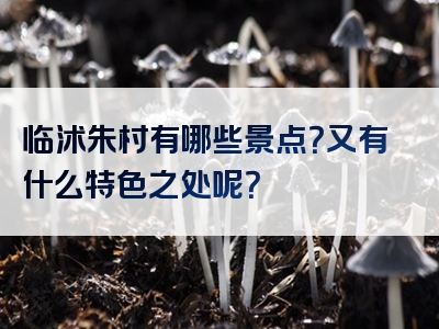 临沭朱村有哪些景点？又有什么特色之处呢？