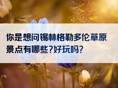你是想问锡林格勒多伦草原景点有哪些？好玩吗？