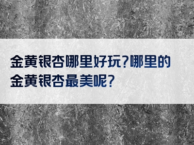 金黄银杏哪里好玩？哪里的金黄银杏最美呢？