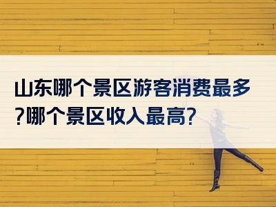 山东哪个景区游客消费最多？哪个景区收入最高？