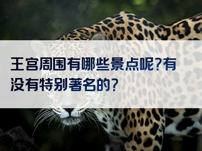 王宫周围有哪些景点呢？有没有特别著名的？