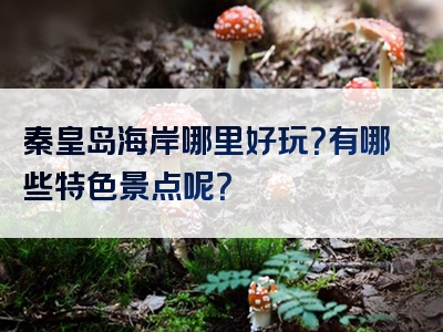 秦皇岛海岸哪里好玩？有哪些特色景点呢？
