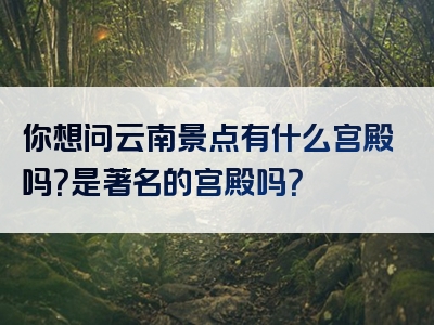 你想问云南景点有什么宫殿吗？是著名的宫殿吗？