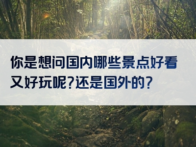 你是想问国内哪些景点好看又好玩呢？还是国外的？