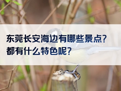 东莞长安海边有哪些景点？都有什么特色呢？