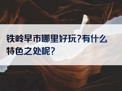 铁岭早市哪里好玩？有什么特色之处呢？